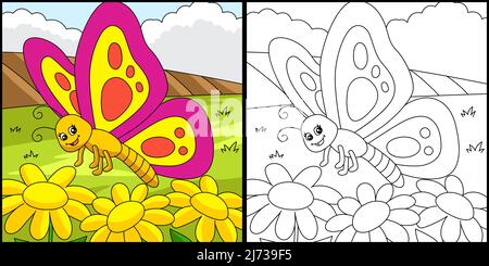 Page de coloriage papillon Illustration colorée Illustration de Vecteur