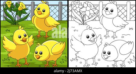 Poussins coloriage page Illustration colorée Illustration de Vecteur