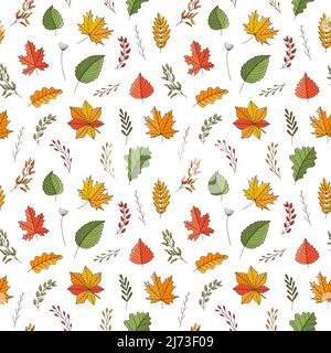 Motif sans couture avec feuilles et brindilles d'automne. Érable, chêne, châtaignier, peuplier faux-tremble, bouleau.toile de fond avec des éléments colorés. Patter vectoriel coloré et lumineux Illustration de Vecteur