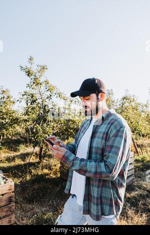 Jeune agriculteur latin utilisant son téléphone à côté de la plantation de pommes. Concept agricole. Nomade numérique Banque D'Images
