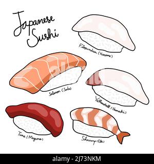 Illustration du dessin des sushis japonais Illustration de Vecteur