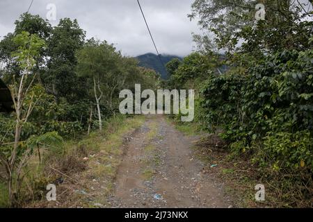 tout le monde à aceh Banque D'Images