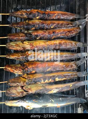 Poisson-chat grillé sur un grill au charbon de bois, focatif sélectif. Banque D'Images