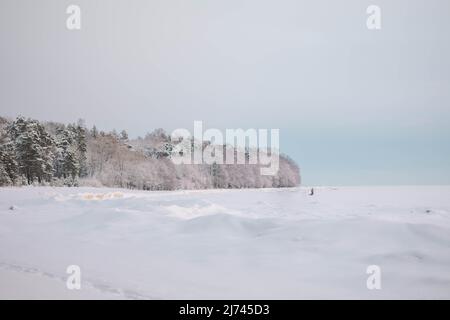 Magnifique paysage d'hiver dans un style minimaliste. Petites figures de personnes sur le champ de neige blanche et de forêt à l'horizon. Ambiance claire et aérée et palette de couleurs claires. Banque D'Images