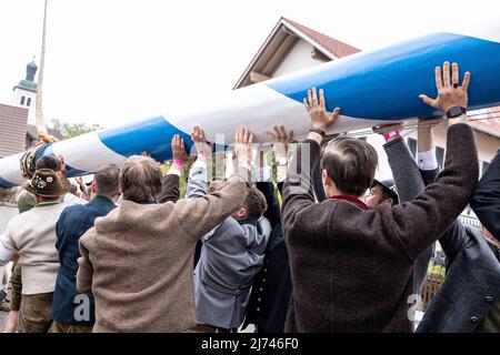 01 mai 2022, Bavière, Perchting: Les membres de la fraternité Perchting élèvent leur maypole sur la place du village de Perchting. Photo: Matthias balk/dpa Banque D'Images