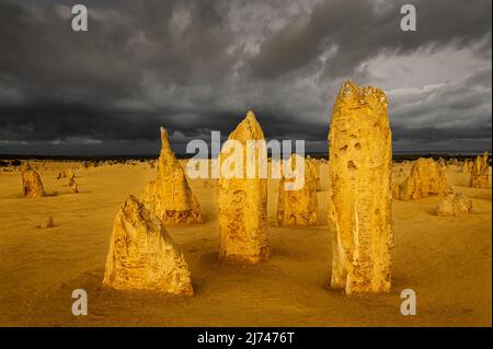 Célèbres formations rocheuses des Pinnacles dans le parc national de Nambung. Banque D'Images