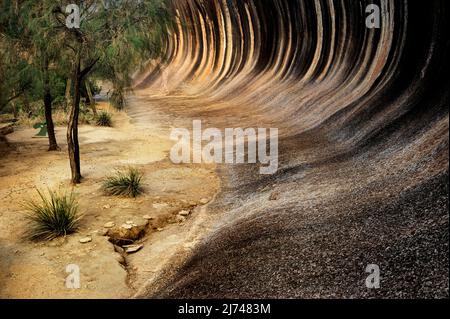 Formation rocheuse reconnaissable de Wave Rock dans l'Outback de l'Australie occidentale. Banque D'Images