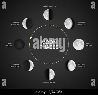 Illustration du vecteur du graphique des phases lunaires. Infographie sur la rotation de la lumière de lune sur fond noir. Illustration de Vecteur