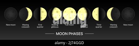 Bannière horizontale du calendrier de mouvement Moonlight. Illustration du vecteur du graphique des phases lunaires. Illustration de Vecteur