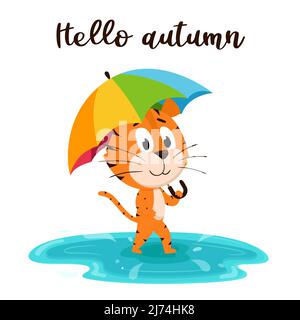 Un joli tigre de dessin animé marche avec un parapluie à travers une flaque. Arrière-plan des gouttes de pluie et l'inscription Hello automne. Une carte avec un personnage adorable. Illustration de Vecteur