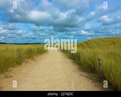 Vue panoramique sur un sentier sablonneux dans les dunes avec de l'herbe de maram. Parc national Duinen van Texel, pays-Bas Banque D'Images