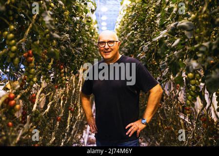 20 septembre 2017, Fludir, Islande : un producteur de tomates pose dans sa serre. 85% de l'énergie produite en Islande est d'origine durable (hydro et géothermique), dont 66% est géothermique. Ses habitants ont utilisé cette énergie pendant des centaines d'années pour profiter des bains thermaux, mais aujourd'hui, il a beaucoup plus d'applications, par exemple, fournissant de la chaleur à 9 maisons sur 10 et fournissant de l'énergie aux industries ayant des besoins importants. Grâce à cette source inépuisable de chaleur et à son bas prix, il est également possible de cultiver des fruits et des légumes en serres toute l'année. Ils n'utilisent pas de produits chimiques, seulement biologica Banque D'Images