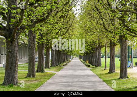 Bâle, Suisse - avril 2022 : avenue d'arbres dans les jardins Merian, un jardin botanique près du centre-ville Banque D'Images
