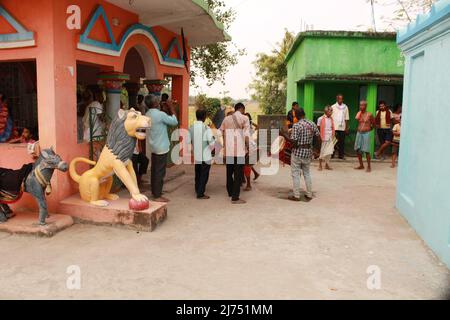 14 avril 2022 : la déesse Bhuasuni se produit. La déité locale dans un village tribal qui vient au corps du prêtre local- Shaman en occasions spéciales. Banque D'Images