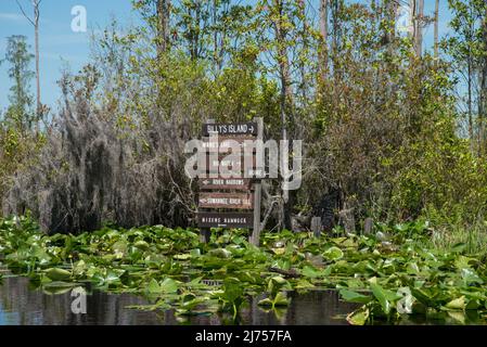 Panneaux de rue directionnels en bois sur le sentier de canoë dans la réserve naturelle nationale des marais Okefenokee, Géorgie, États-Unis Banque D'Images