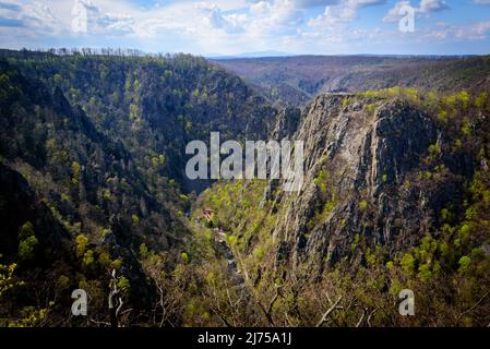 Gorge de la rivière de la Bode dans les montagnes Harz d'Allemagne près de Thale Banque D'Images