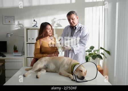 Chien avec un collier élisabéthain en plastique autour du cou dormant sur une table médicale lorsque le vétérinaire écrit sur ordonnance Banque D'Images