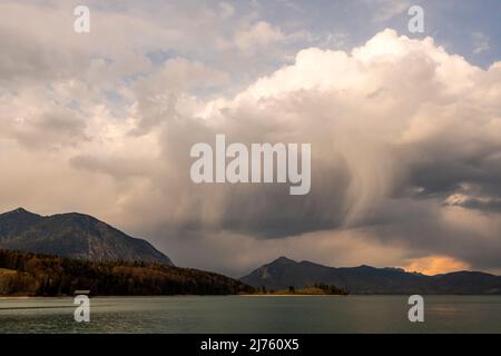 Tempête sur le Kesselberg avec la péninsule de Zwergern en premier plan et le Herzogstand. En automne sur la rive de Walchensee. Banque D'Images