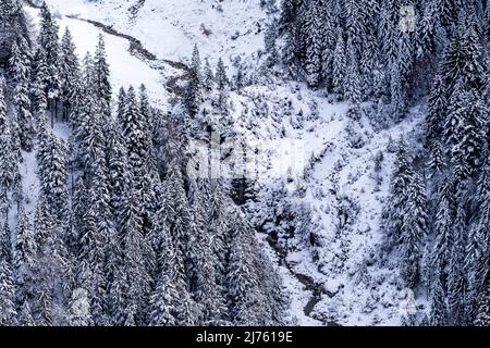 Ruisseau Seinsbach en hiver avec de la neige et des arbres couverts de neige à Karwendel, dans les Alpes allemandes Banque D'Images