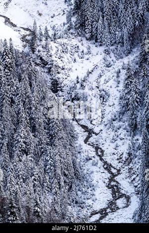 Ruisseau Seinsbach en hiver avec de la neige et des arbres couverts de neige à Karwendel, dans les Alpes allemandes Banque D'Images