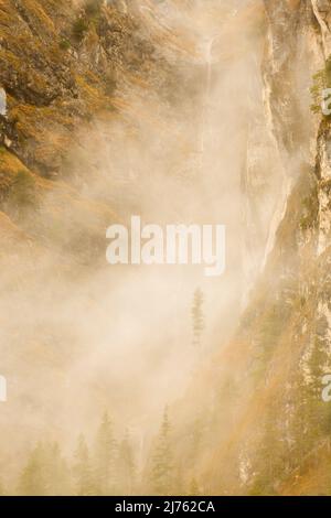 Une petite cascade dans les Alpes bavaroises sur le Karwendel, au-dessus de l'Isar, sur la face rocheuse accidentée, dresse un seul arbre dans la brume, tandis que dans le fond l'eau tombe un ravin étroit. Banque D'Images