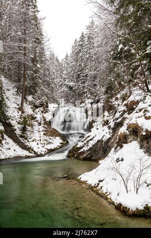 La Sachenfall sur l'Obernach entre Wallgau et Walchensee dans les Alpes bavaroises, lors de fortes chutes de neige en hiver. Son eau claire ajoute un fort accent de couleur. Banque D'Images