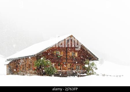 Les flocons de neige transforment le paysage des montagnes en inferno blanc, en elle se dresse une hutte en bois classique des fermiers de montagne dans le Tyrol. Pris dans l'Engtal à la grande Ahornboden, Tyrol. Banque D'Images