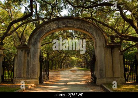 Entrée à la porte en pierre du site historique de Wormsloe, Savannah, Géorgie, États-Unis Banque D'Images