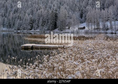 Une petite passerelle entre les roseaux en hiver à Lautersee quand il neige. Banque D'Images