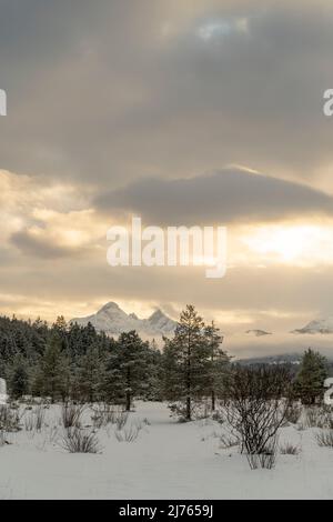 L'Isarauen, la plaine alluviale de l'Isar près de Wallgau à l'Isarsteg en hiver avec la neige et la douce lumière d'hiver du coucher du soleil. À Hinetrgrund, l'Arnspitze et une partie des montagnes Wetterstein en voile nuageux et en partie brouillard, au premier plan de petites buissons de saules. Banque D'Images