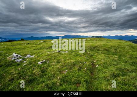 Un petit sentier mène au sommet du Vorderskopf dans le Karwendel, dans une atmosphère dense et verte. Banque D'Images