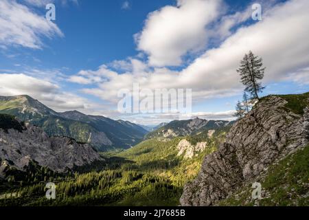 Vue depuis Gjaidsteig en direction de Kriner-Kofler-Hütte, Rappenklamspitze et Hinterriss. Un seul pin se dresse sur le flanc de la montagne. Banque D'Images