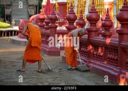 CHIANG MAY, THAÏLANDE - 22 DÉCEMBRE 2018: De jeunes moines nettoient les terrains du temple bouddhiste de Wat Phantao le matin ensoleillé Banque D'Images