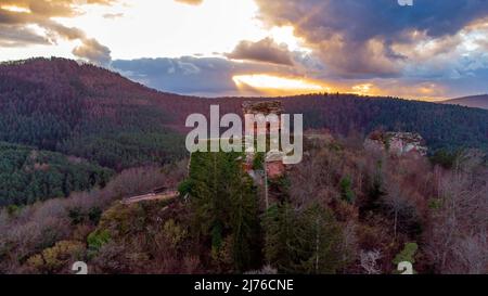 Château de Drachenfels près de Busenberg, Dahner Felsenland, Wasgau, Forêt du Palatinat, Rhénanie-Palatinat, Allemagne Banque D'Images