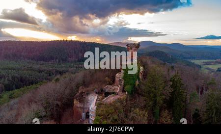 Château de Drachenfels près de Busenberg, Dahner Felsenland, Wasgau, Forêt du Palatinat, Rhénanie-Palatinat, Allemagne Banque D'Images