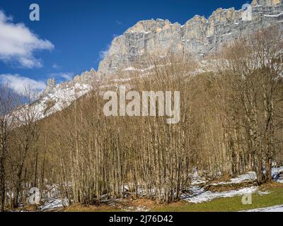 Gadmertal, forêt en face des pinnacles de roche Banque D'Images