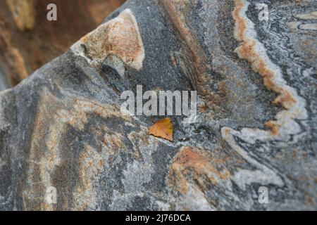 Feuilles de bouleau et structures colorées en roche, vallée de la Verzasca, Suisse, canton du Tessin Banque D'Images