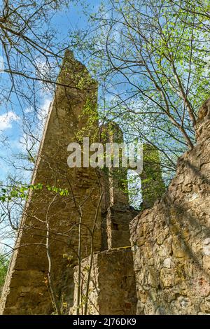 Allemagne, Rottweil, le Neckarburg est la ruine d'un château médiéval au sommet d'une colline avec une histoire riche en événements. Il est situé dans la vallée du Neckar, sur une montagne allongée en circulation dans la zone de la ville de Rottweil. La ruine est le plus ancien château du quartier et appartient aux comtes de Bissingen et de Nippenburg. Banque D'Images