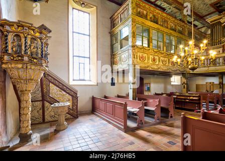 Organe de nid d'hirondelle, décoration intérieure, église, Saint Kilian, château, Bedheim, Römhild, Thuringe du Sud, Allemagne, Europe Banque D'Images