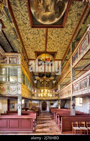 Organe de nid d'hirondelle, décoration intérieure, église, Saint Kilian, château, Bedheim, Römhild, Thuringe du Sud, Allemagne, Europe Banque D'Images