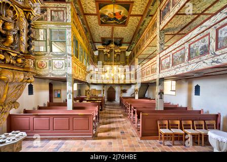 Organe de nid d'hirondelle, décoration intérieure, église, Saint Kilian, château, Bedheim, Römhild, Thuringe du Sud, Allemagne, Europe Banque D'Images