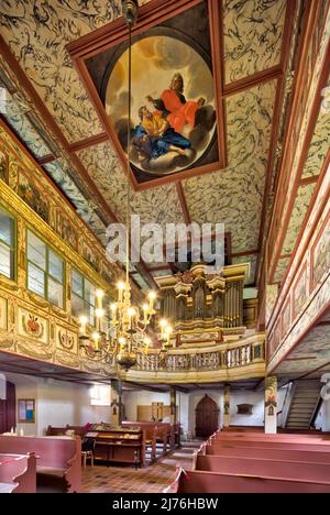 Organe de nid d'hirondelle, décoration intérieure, église, Saint Kilian, château, Bedheim, Römhild, Thuringe du Sud, Allemagne, Europe Banque D'Images