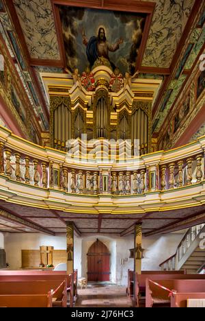 Organe de nid d'hirondelle, décoration intérieure, église, Saint Kilian, château, Bedheim, Römhild, Thuringe du Sud, Allemagne, Europe Banque D'Images