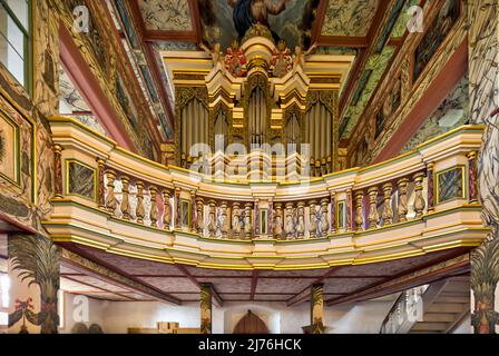 Organe de nid d'hirondelle, décoration intérieure, église, Saint Kilian, château, Bedheim, Römhild, Thuringe du Sud, Allemagne, Europe Banque D'Images