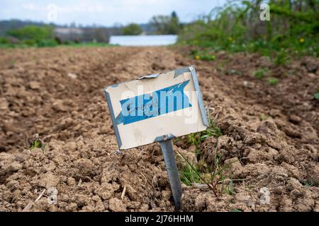 Jardin de sol sain, rangée nouvelle plantation marquée Emerald Star brocoli avec panneau de métal rustique centré en premier plan sur la ferme végétale biologique. Serre Banque D'Images