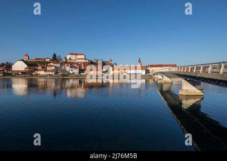 Ville de Ptuj (Pettau) avec colline du château, sur le fleuve Drava, la plus ancienne ville de Slovénie, Basse Styrie, Podravska, Slovénie, Europe Banque D'Images