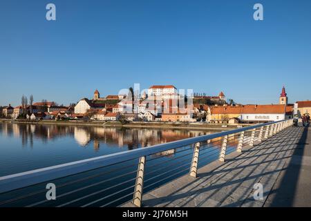 Ville de Ptuj (Pettau) avec colline du château, sur le fleuve Drava, la plus ancienne ville de Slovénie, Basse Styrie, Podravska, Slovénie, Europe Banque D'Images