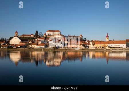 Ville de Ptuj (Pettau) avec colline du château, sur le fleuve Drava, la plus ancienne ville de Slovénie, Basse Styrie, Podravska, Slovénie, Europe Banque D'Images