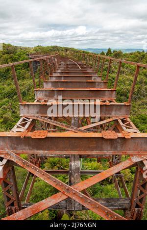 Ancien pont en fer inutilisé à l'Old Coach Road, Île du Nord de la Nouvelle-Zélande Banque D'Images