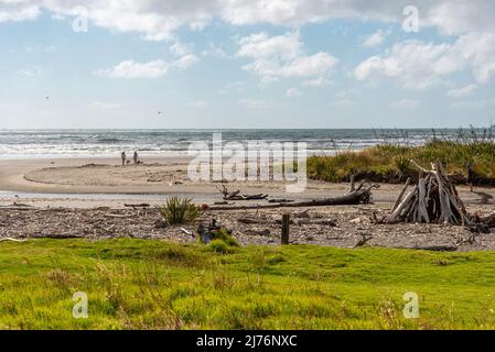 Belle côte au parc Queen Elisabeth, Île du Nord de la Nouvelle-Zélande Banque D'Images